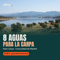Portada del Pack Carpa · Comunidad de Madrid, guía interactiva de pesca de albur