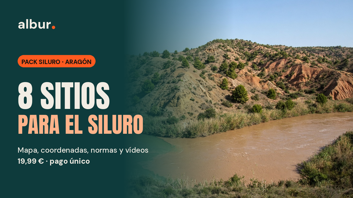 Imagen principal del Pack Siluro · Aragón